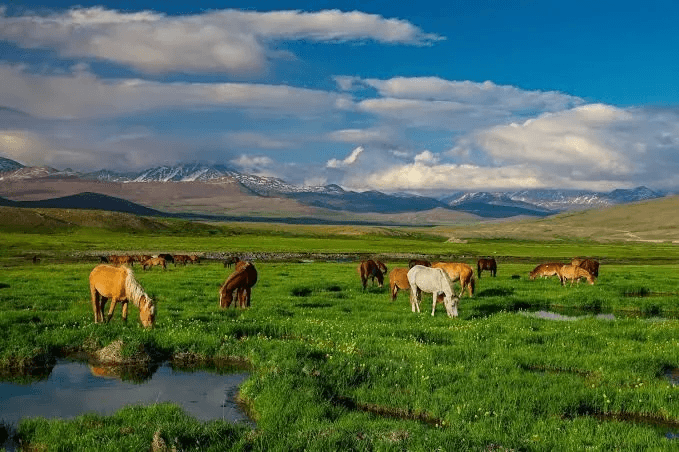 Lush green fields in Shigar Valley